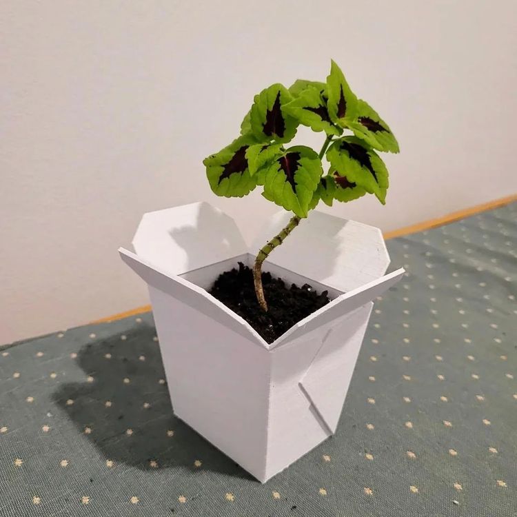 image-20230724162336-2