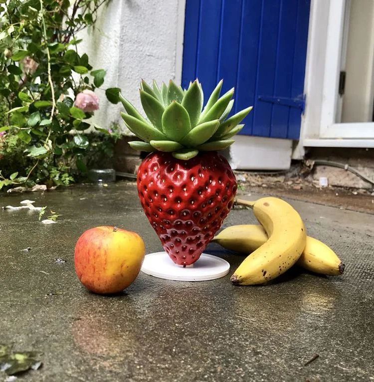 image-20230724162342-4