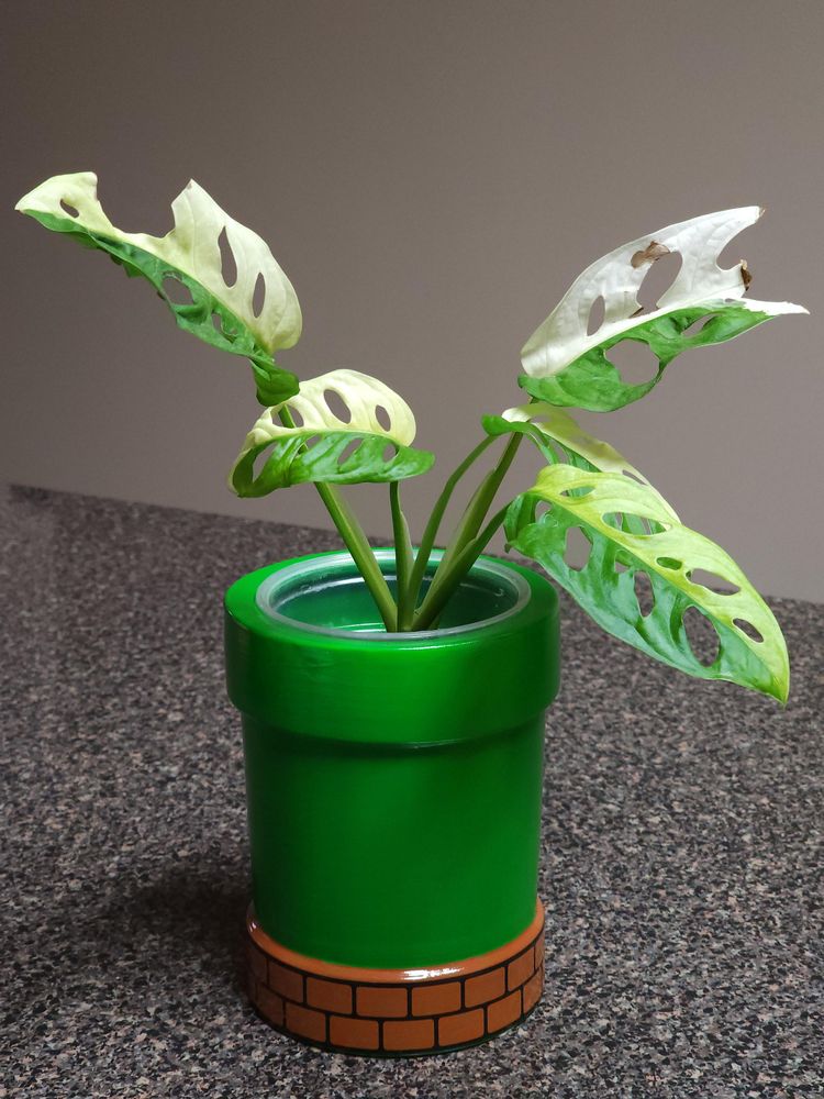 image-20230724162352-7