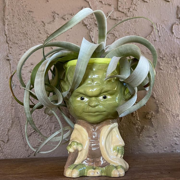 image-20230724162618-14