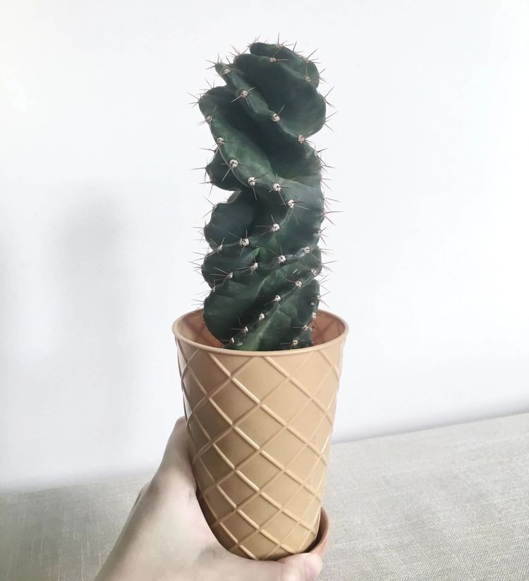 image-20230724162621-15