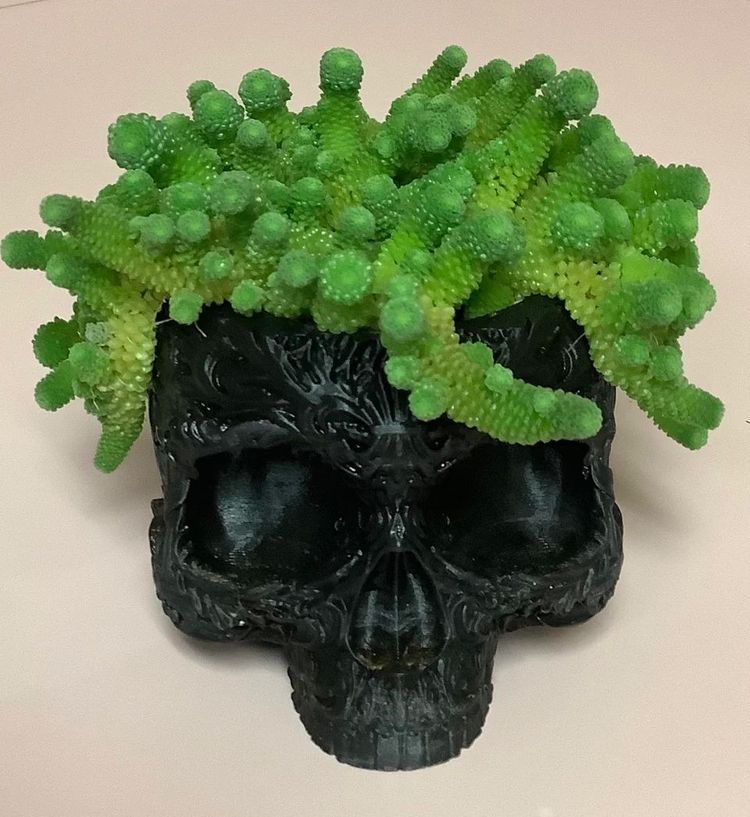 image-20230724162623-16