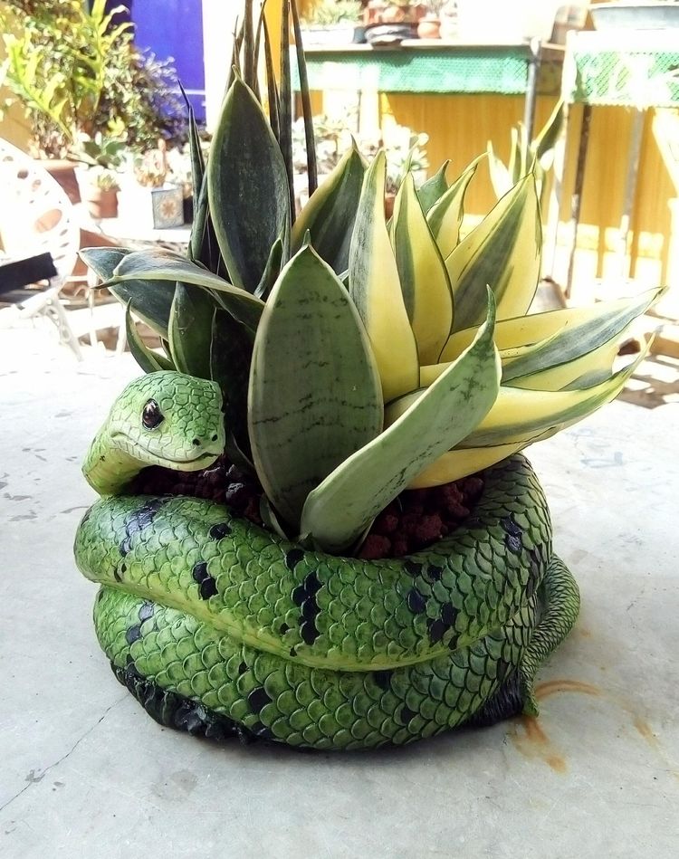 image-20230724162634-20