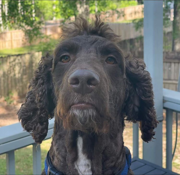 image-20230724172954-5