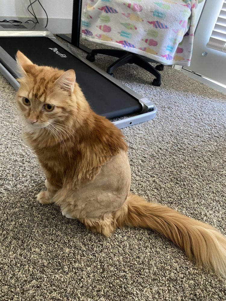 image-20230724173001-8