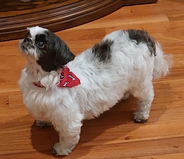 image-20230724173014-12