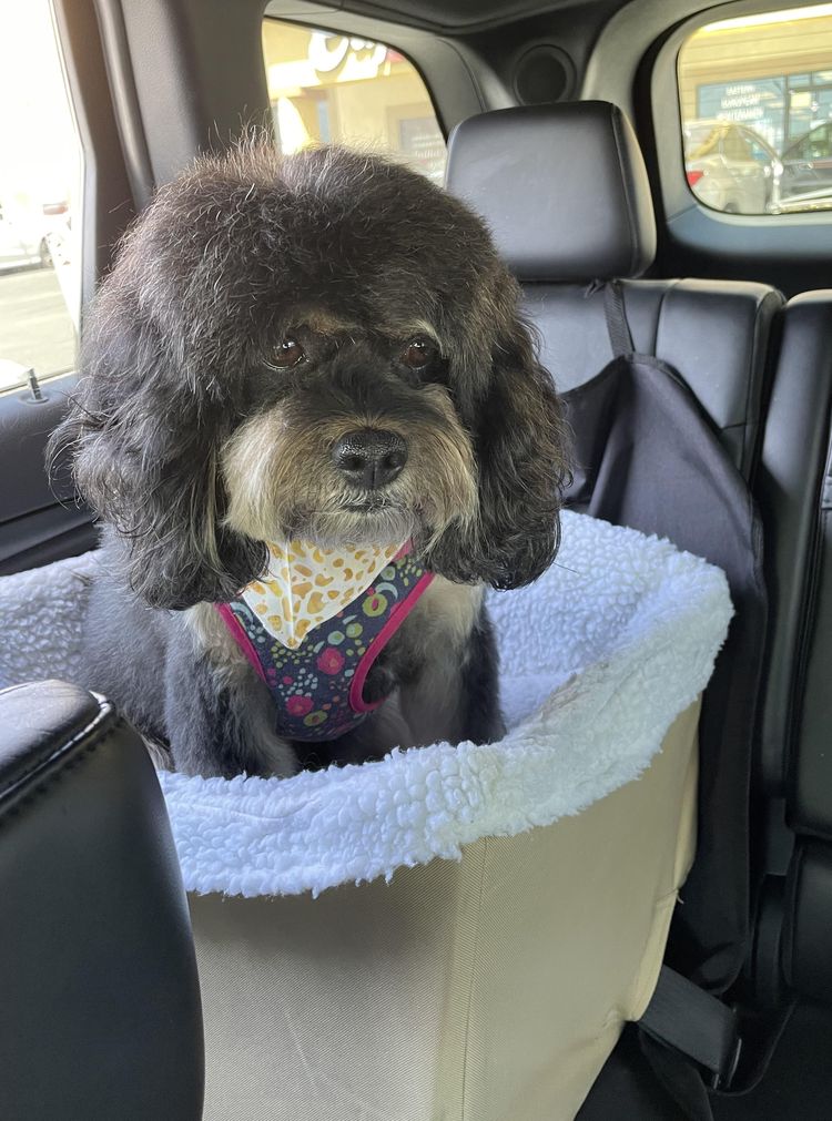 image-20230724173018-13