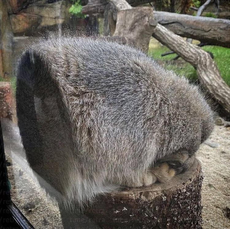 image-20230726140013-7