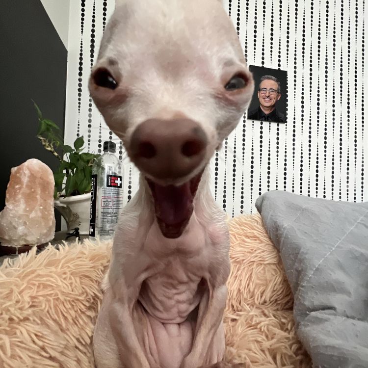 image-20230726140026-11