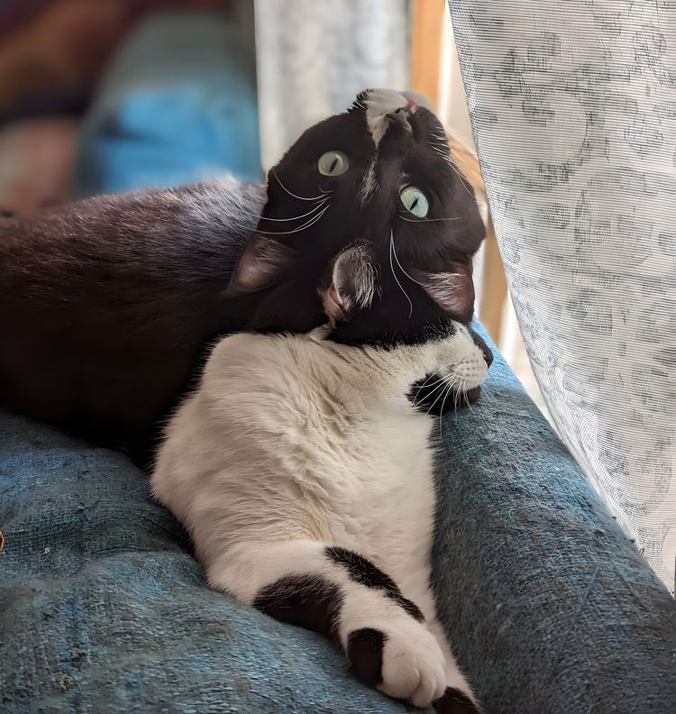 image-20230726140040-15