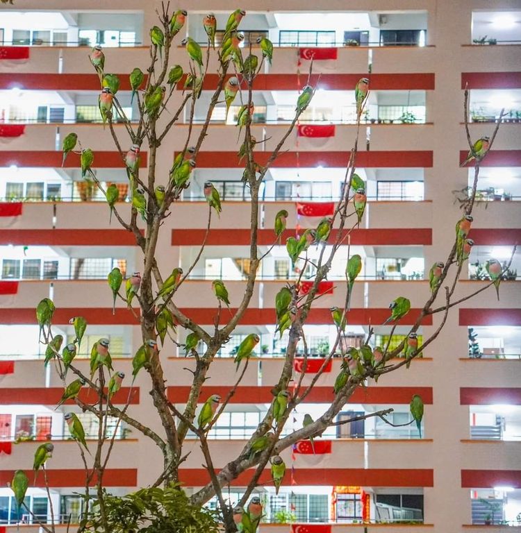 image-20230726140043-16