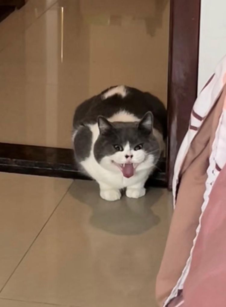 image-20230726171658-1