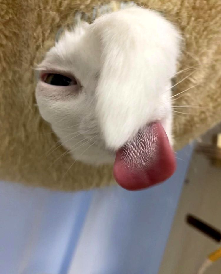 image-20230726171704-3