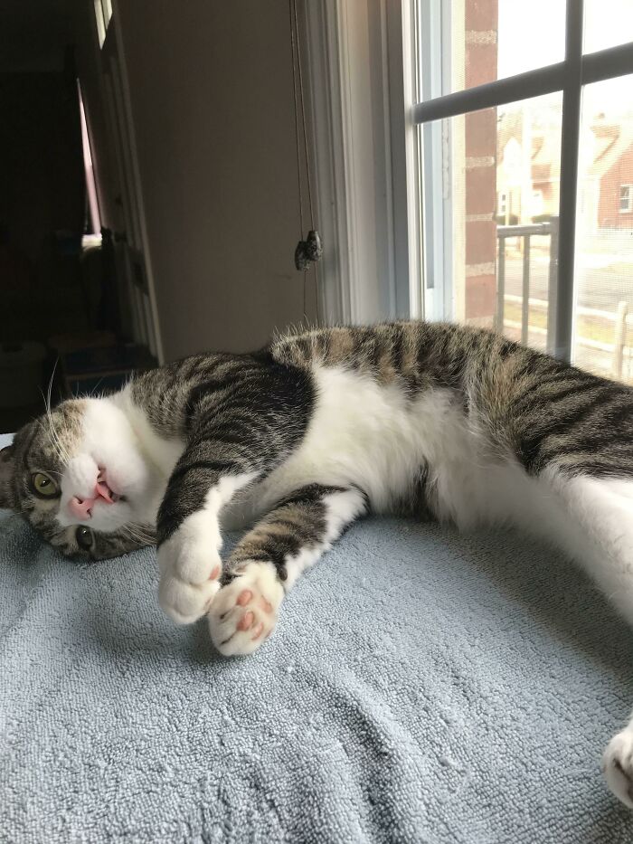 image-20230726171716-5