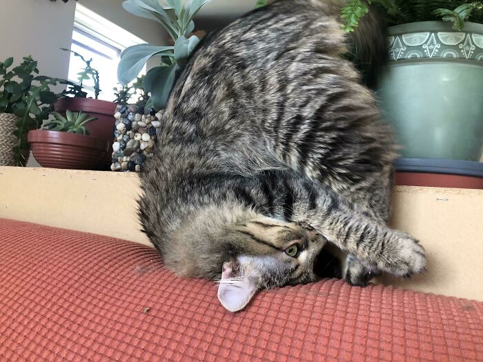 image-20230726171719-6