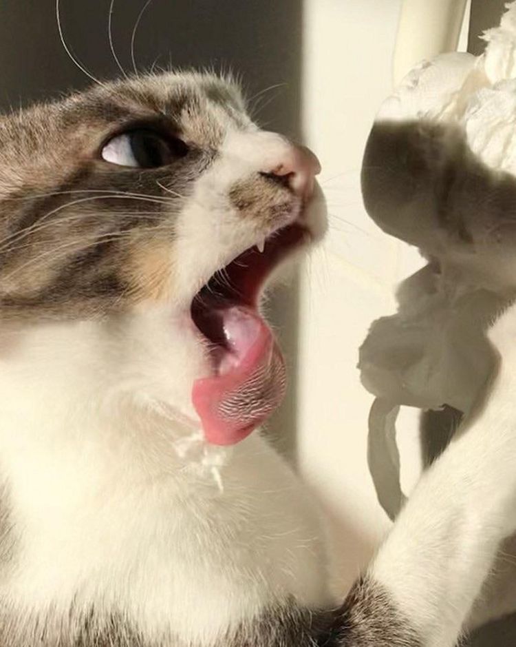 image-20230726171721-7