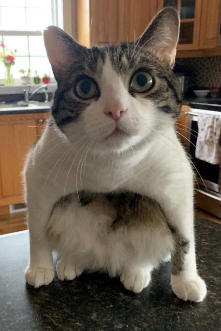 image-20230726171729-9