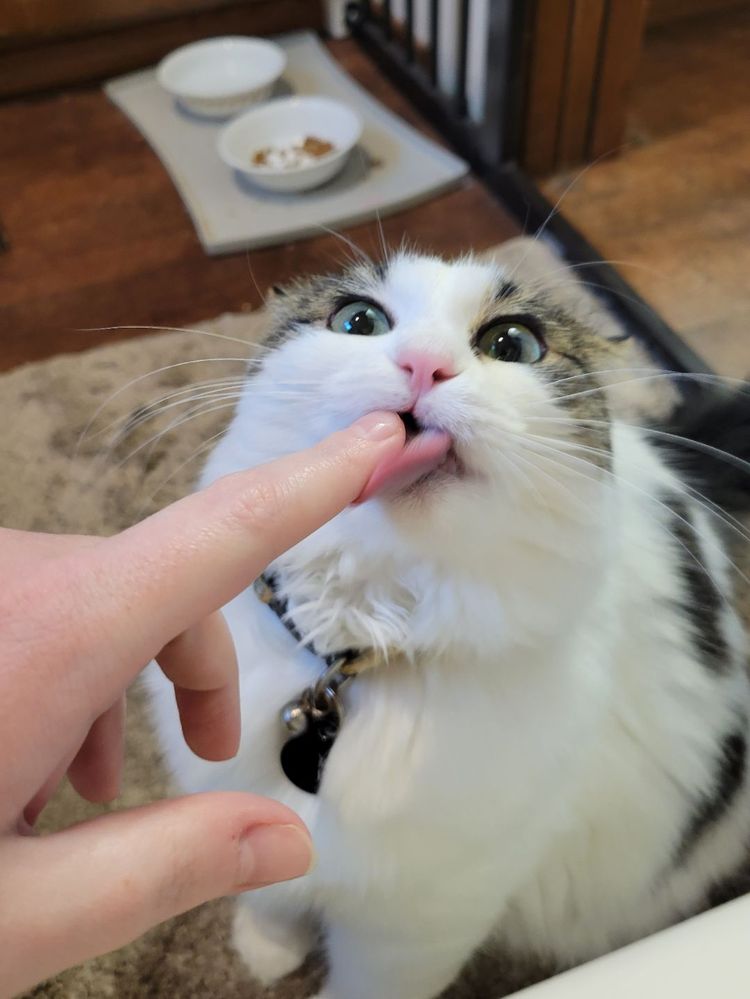 image-20230726171735-11