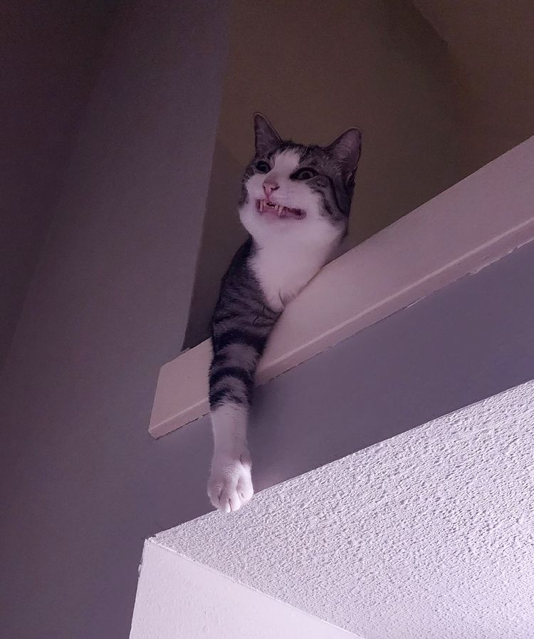 image-20230726171738-12