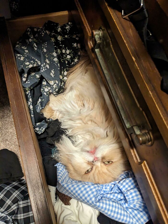 image-20230726171743-13