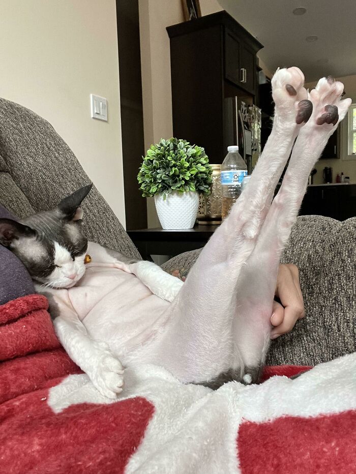 image-20230726171746-14