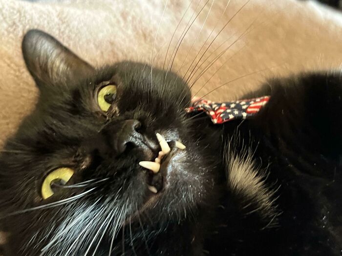 image-20230726171748-15