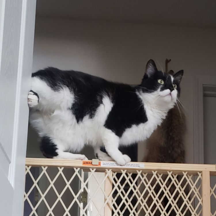 image-20230726171751-16