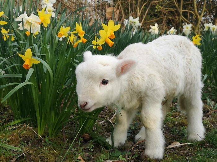 image-20230727180743-2