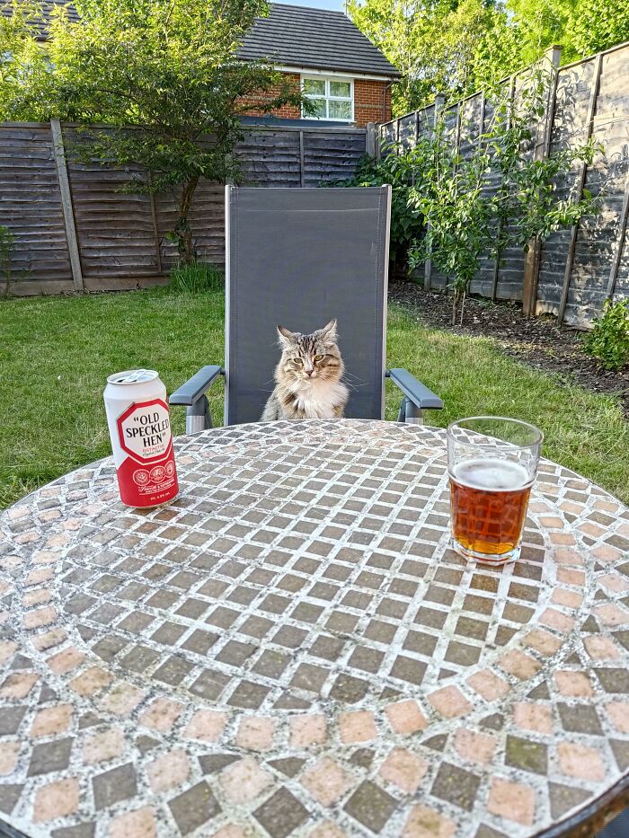 image-20230727180842-15