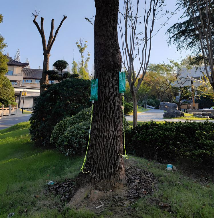 image-20230728175415-10