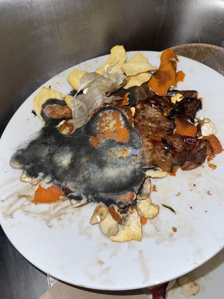 image-20230731122335-4