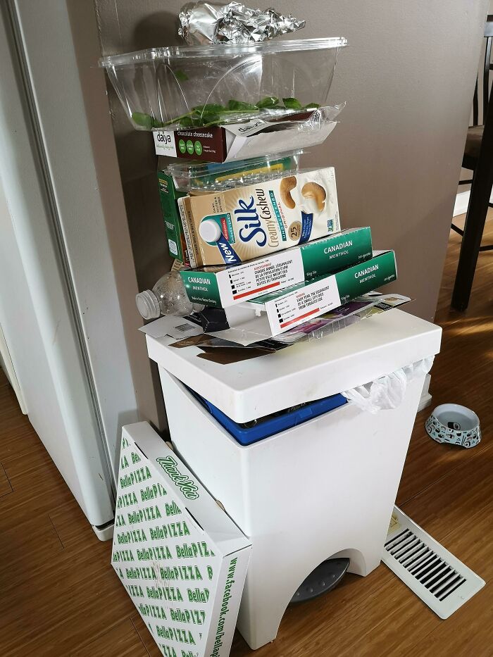 image-20230731122340-5