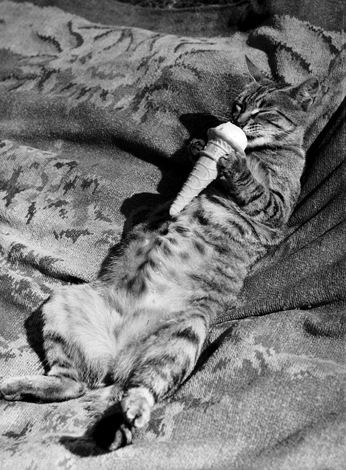 image-20230801115806-2