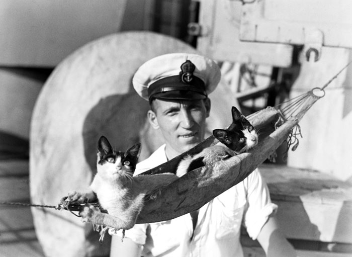 image-20230801115919-8