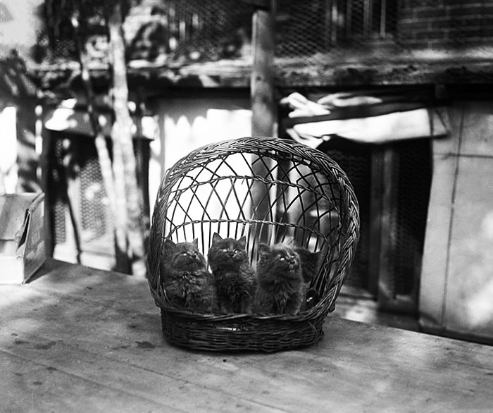 image-20230801115929-11