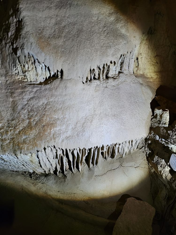 image-20230801154946-3