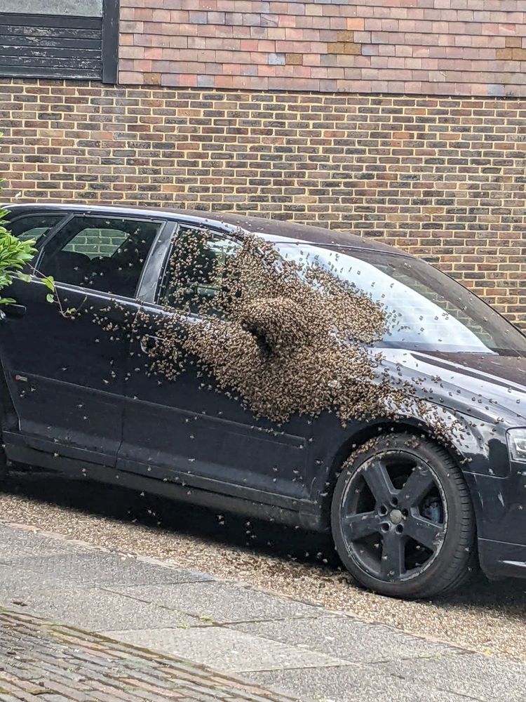 image-20230801154955-6