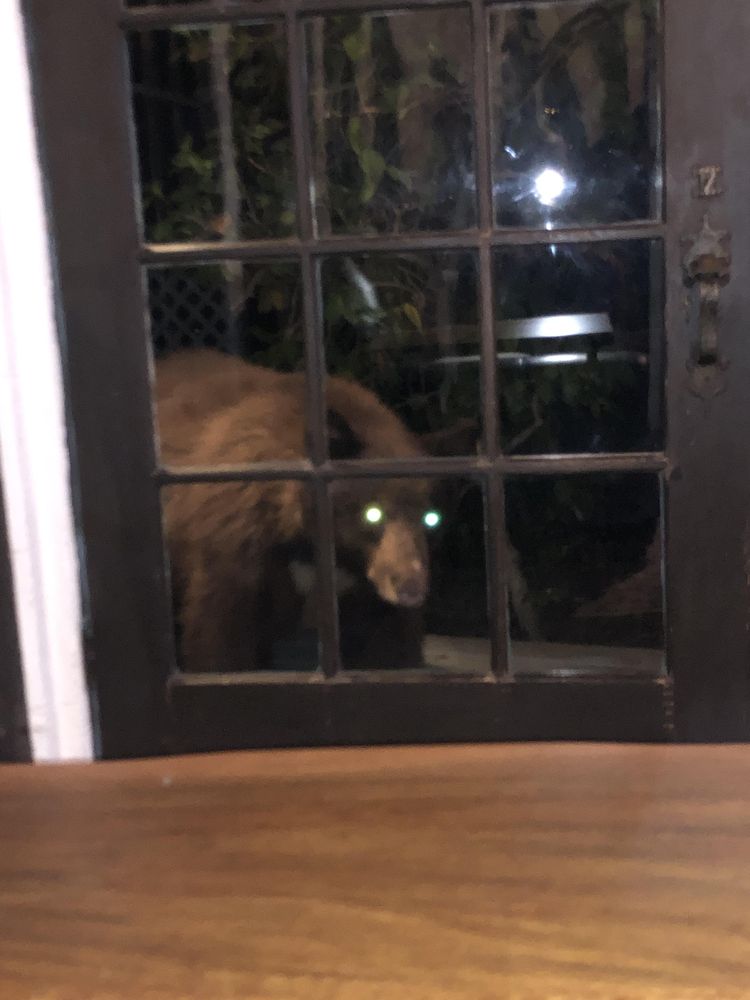 image-20230801155004-9