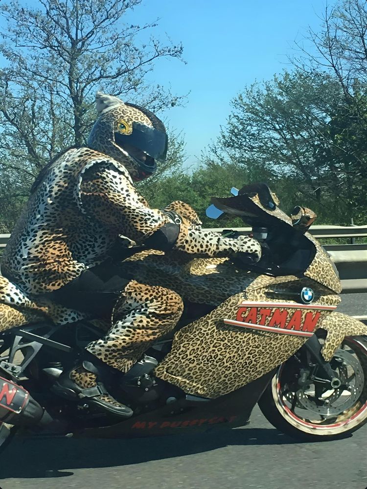 image-20230801183720-10