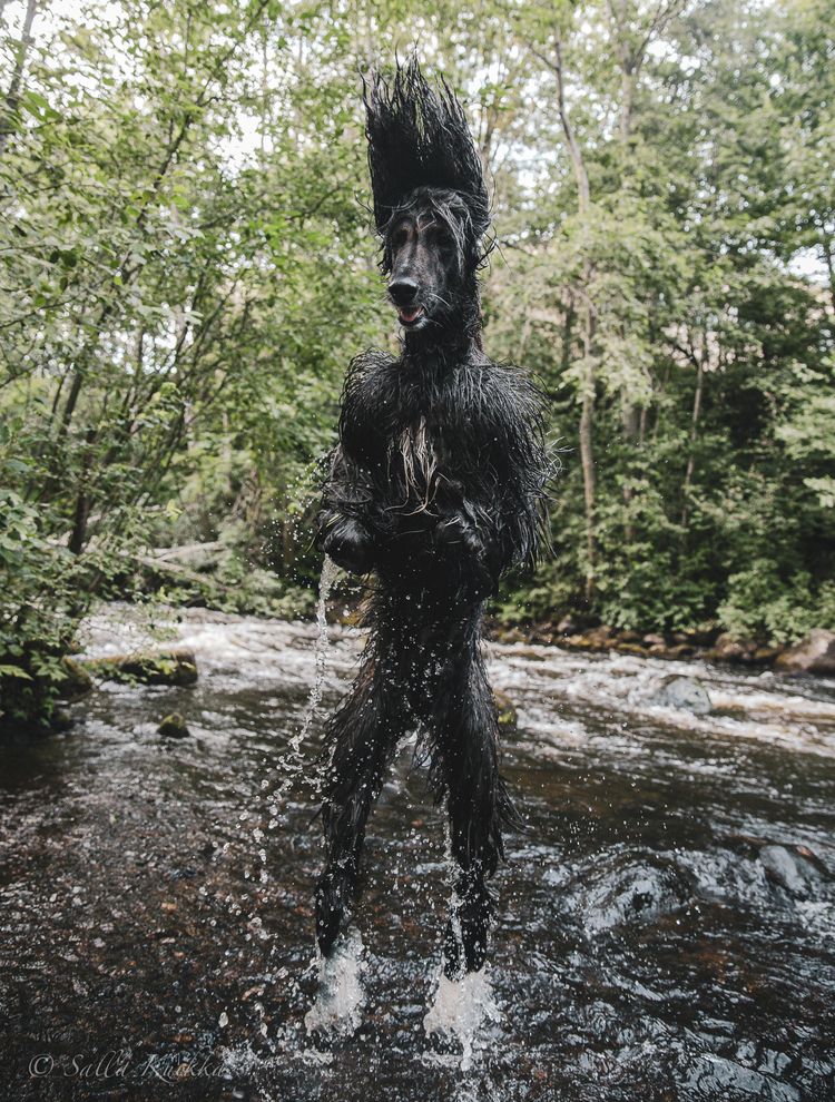 image-20230802121635-4