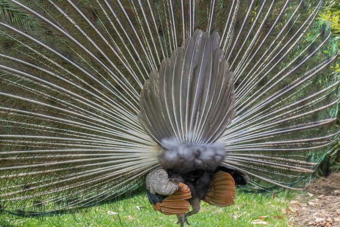 image-20230802121725-17