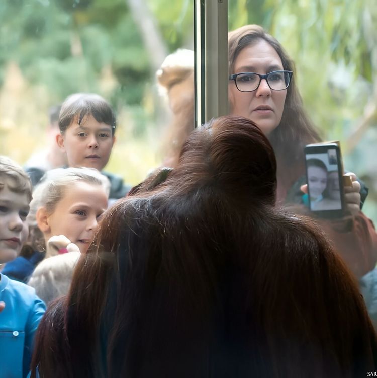 image-20230802121728-18