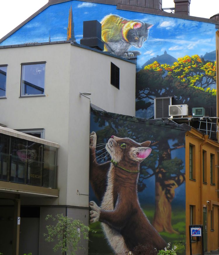 image-20230802125736-9