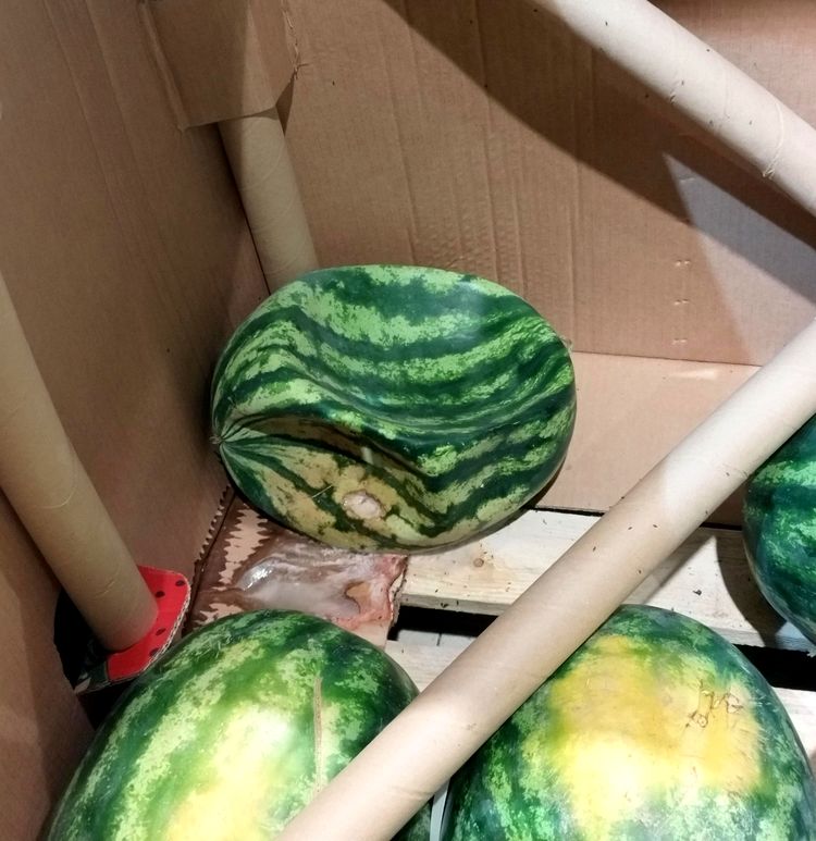 image-20230802141628-13