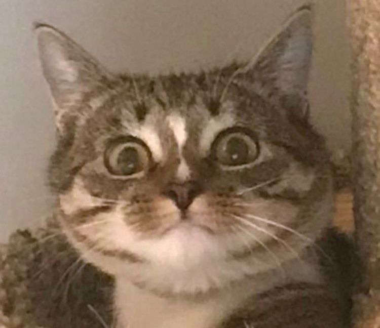 image-20230802195549-3