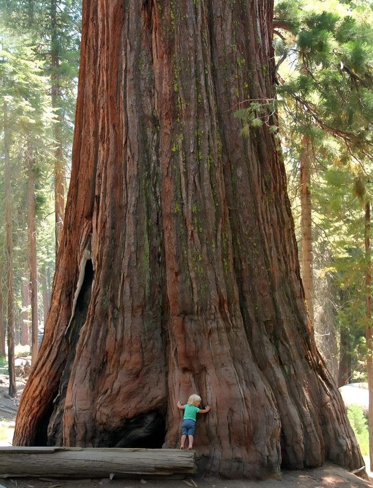 image-20230803125135-18