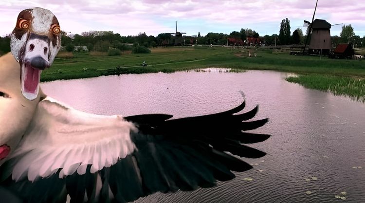 image-20230803150354-5