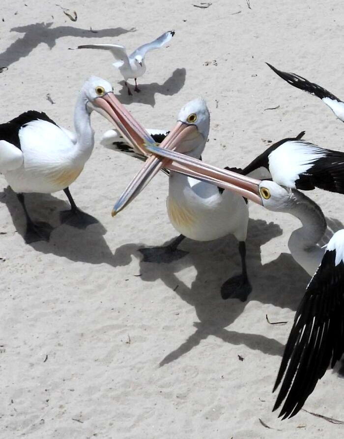 image-20230803150404-8