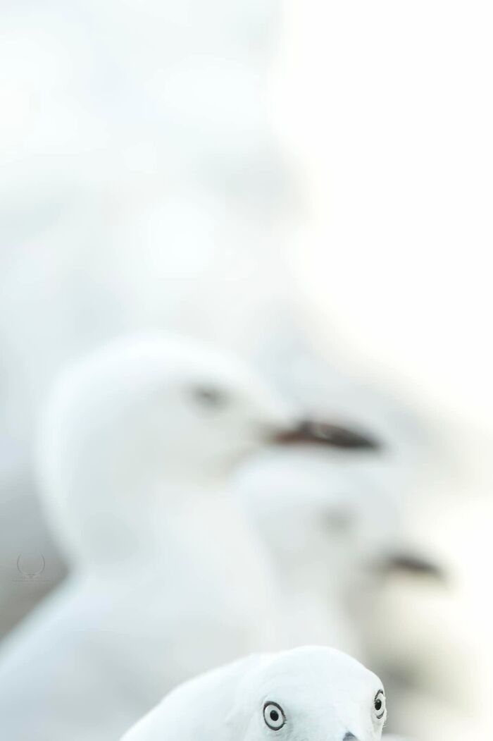 image-20230803150411-10