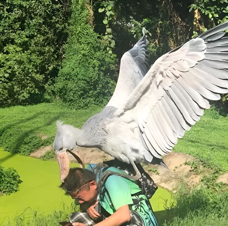 image-20230803150424-14